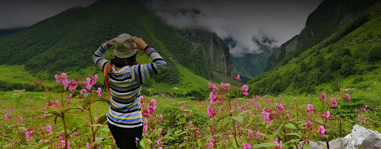 Valley of Flowers Independence Day Weekend