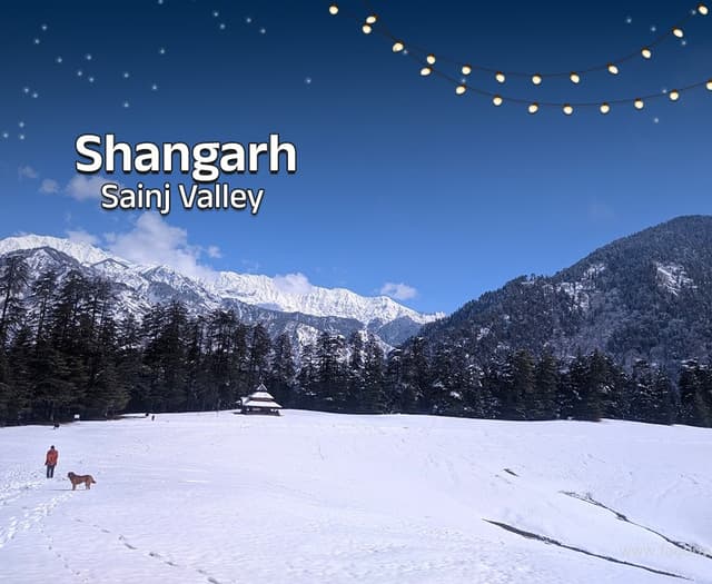 Shangarh Sainj  Xmas NY