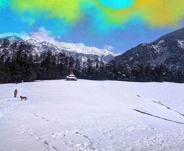 Shangarh Sainj Holi Special Trip