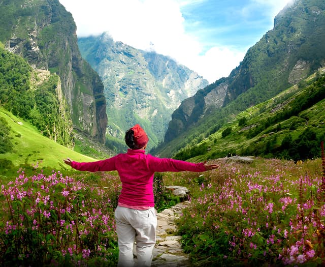 Valley of Flowers