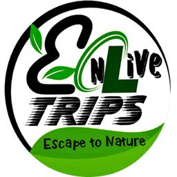 Enlivetrips
