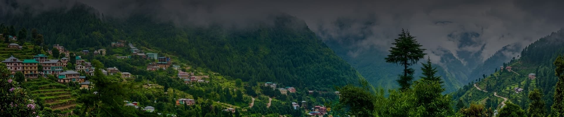 Triund Trek & Mcleodganj